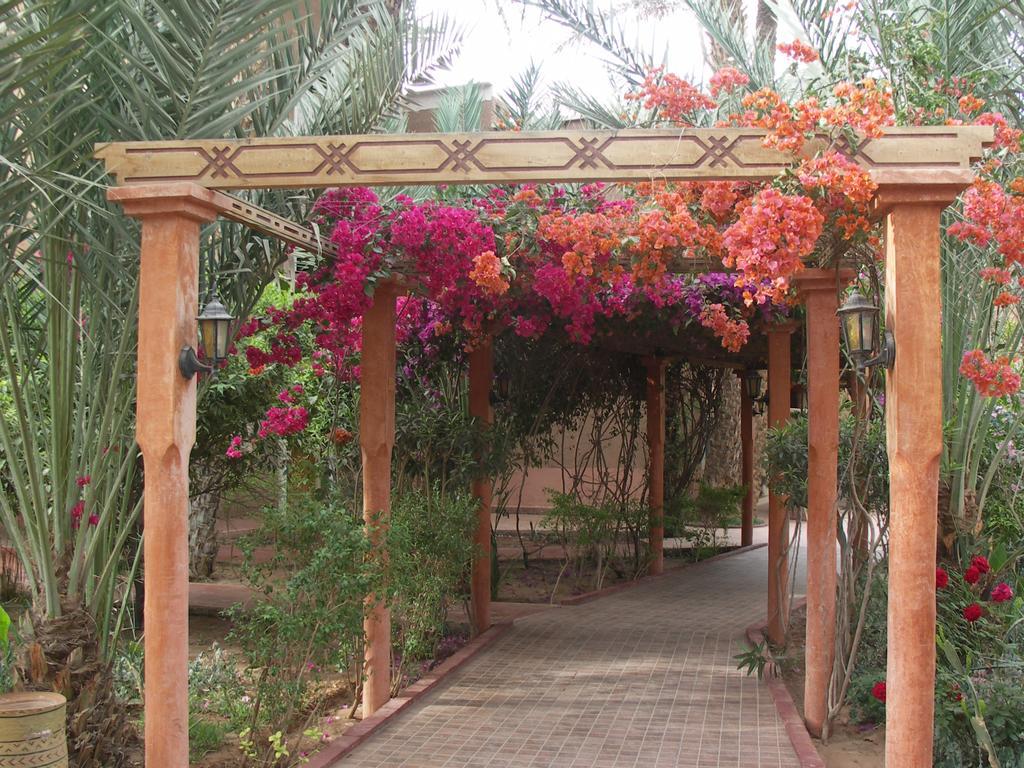 Fibule Du Draa Kasbah D'Hotes Zagora Εξωτερικό φωτογραφία