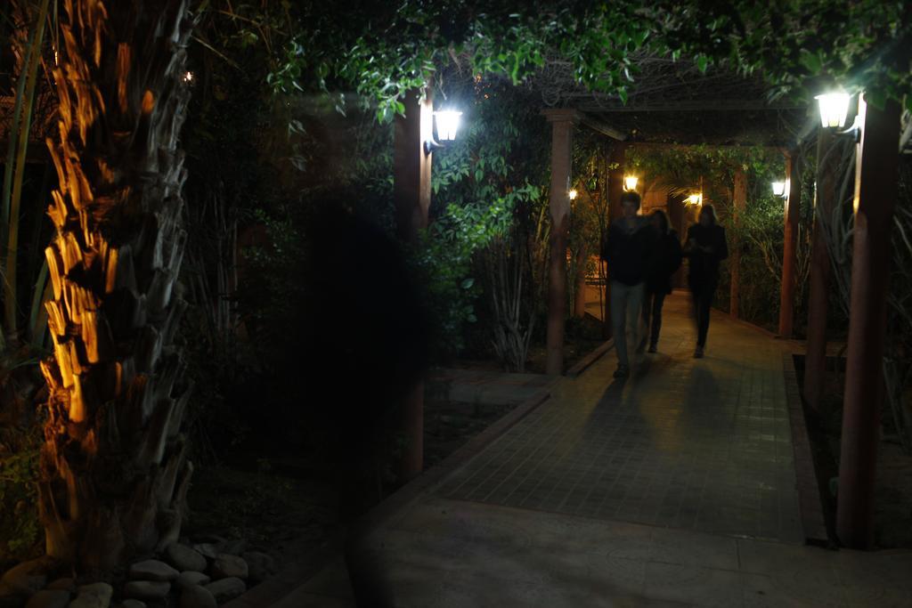 Fibule Du Draa Kasbah D'Hotes Zagora Εξωτερικό φωτογραφία