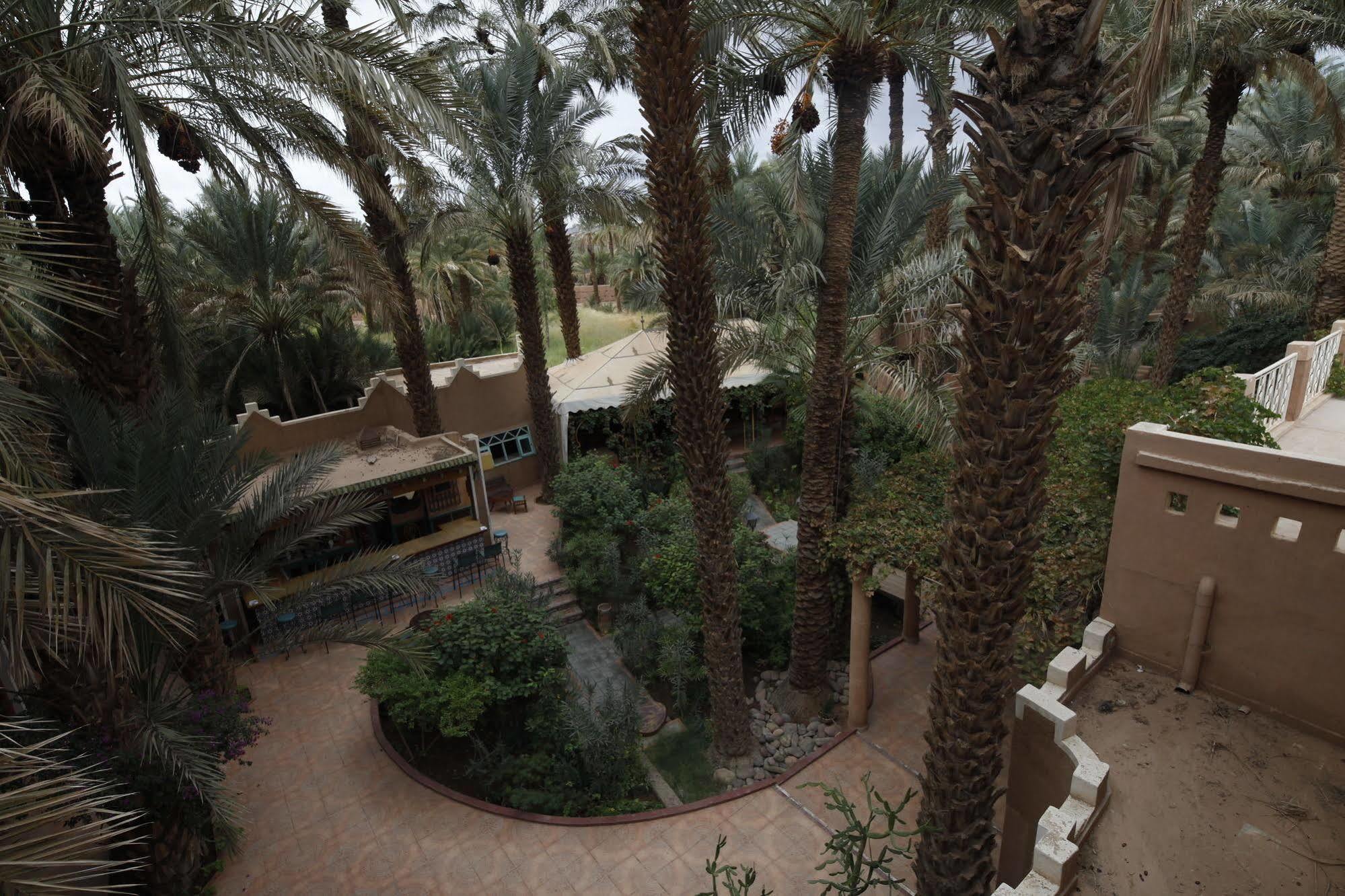 Fibule Du Draa Kasbah D'Hotes Zagora Εξωτερικό φωτογραφία