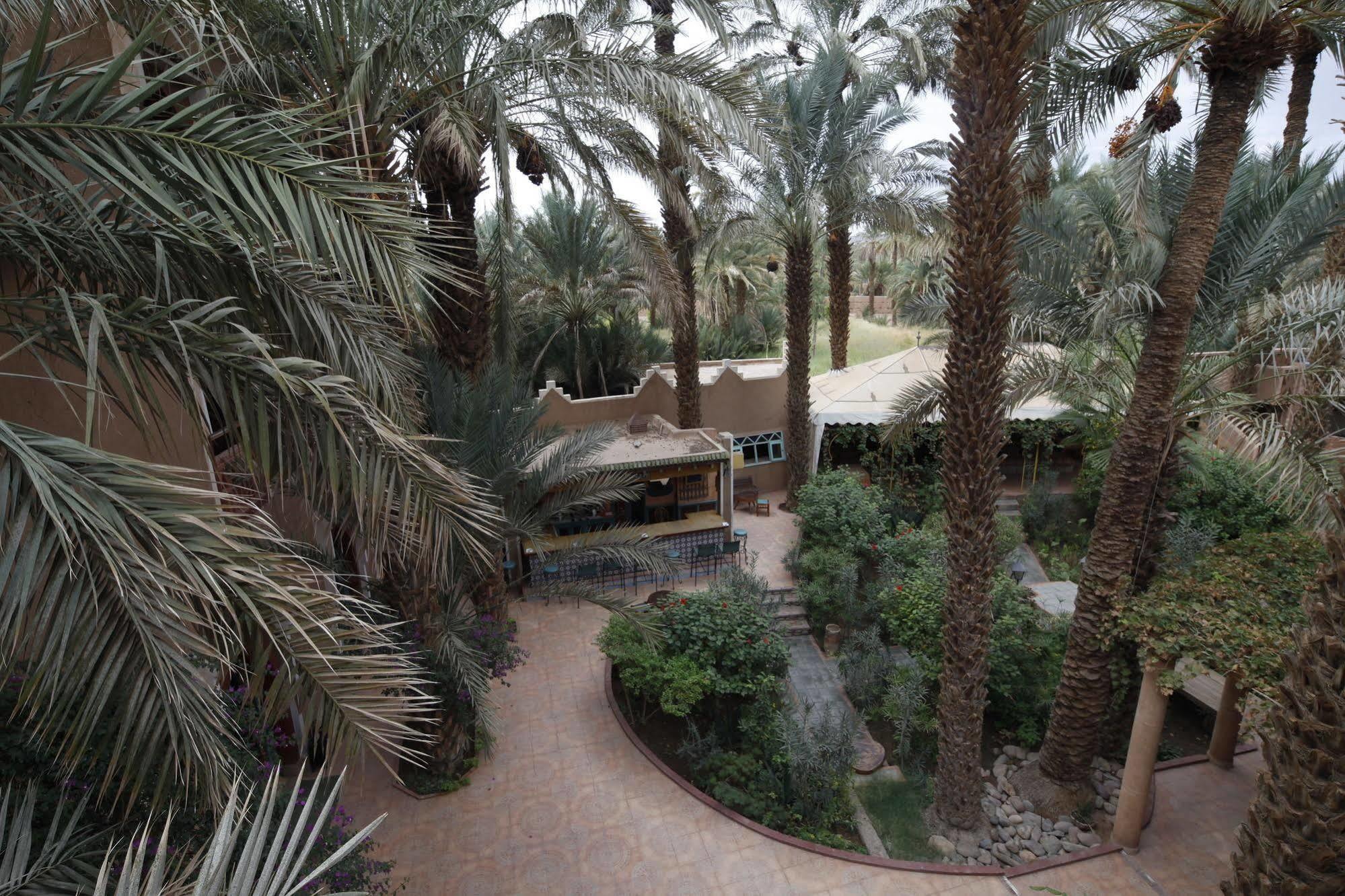 Fibule Du Draa Kasbah D'Hotes Zagora Εξωτερικό φωτογραφία