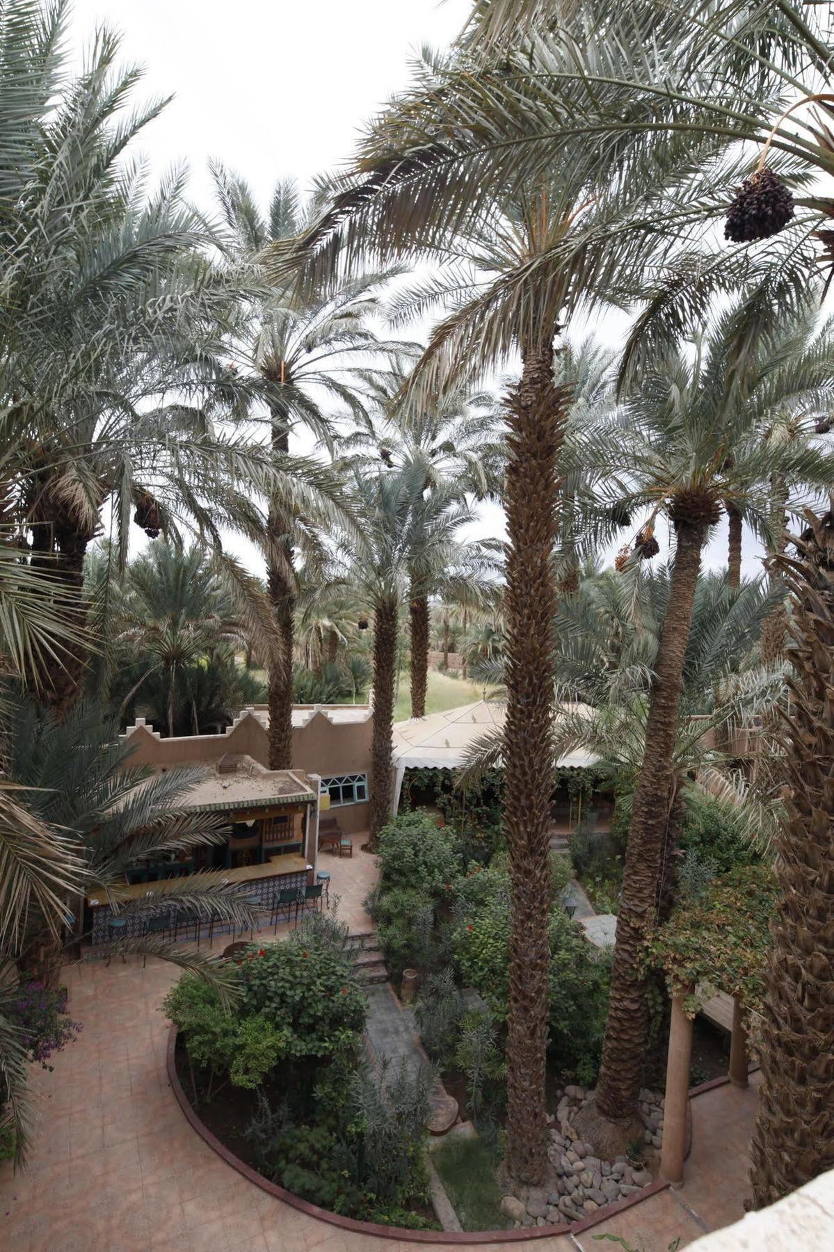 Fibule Du Draa Kasbah D'Hotes Zagora Εξωτερικό φωτογραφία